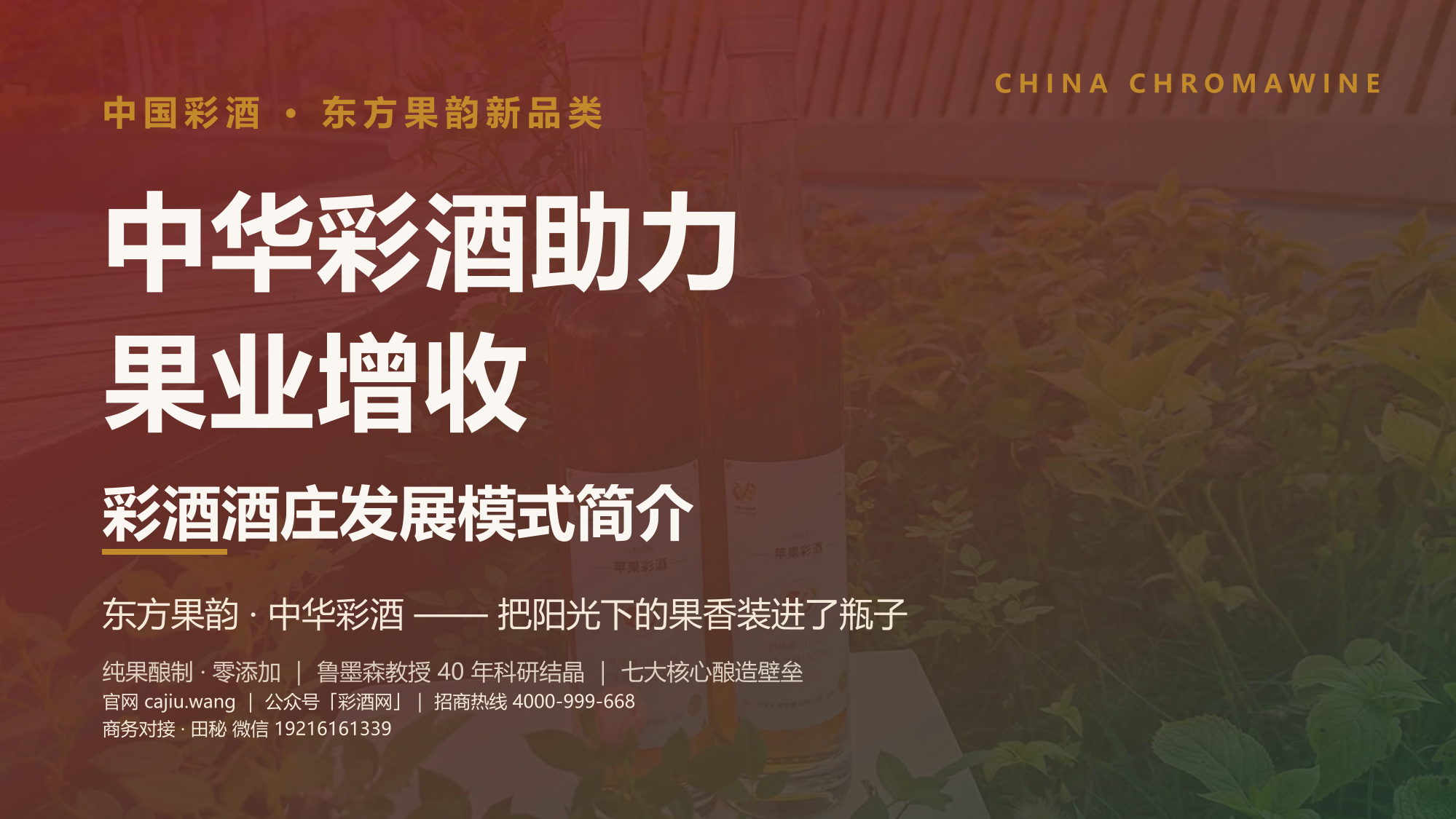 PDF第1页